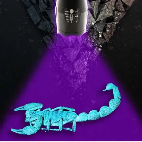 2 in1 XANES UV05 2xT6 LEDs Purple White Light Zoomable UV Flashlight Scorpion Insect Detection Pen