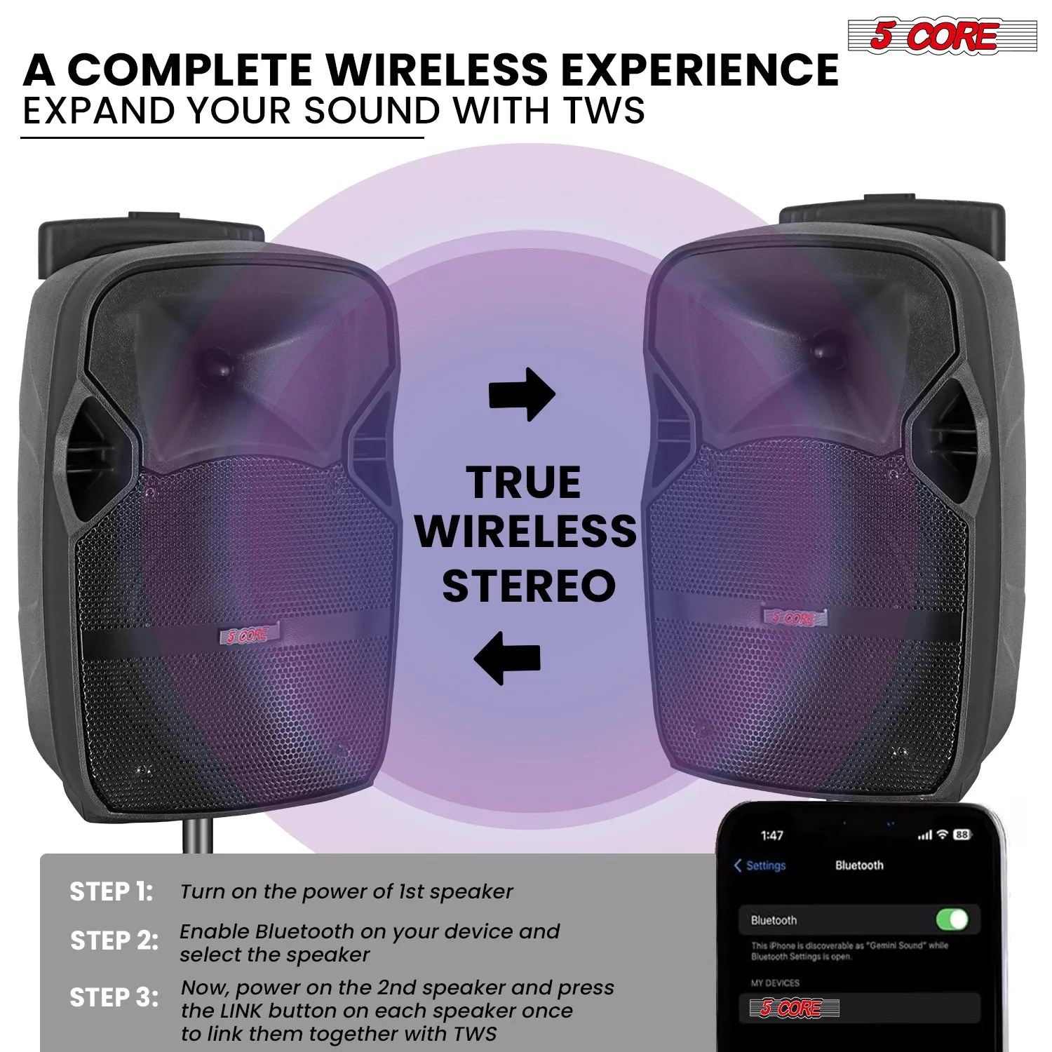 5Core 10 inch PA Portable Bluetooth Party Speaker Karaoke Boombox   2 Wireless Mics
