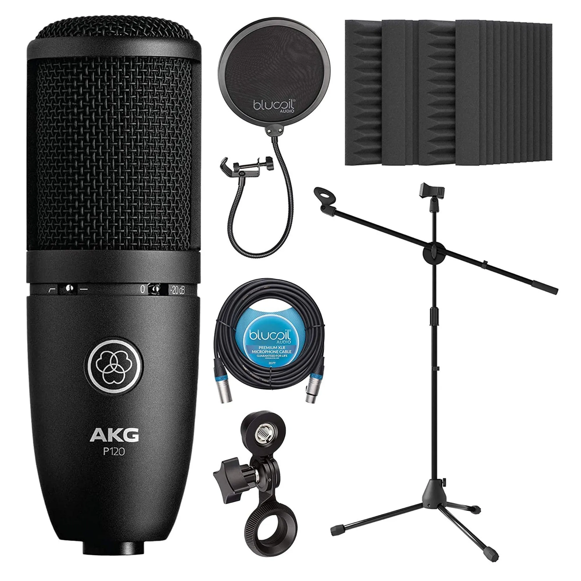 AKG P120 - High-Performance Recording Microphone