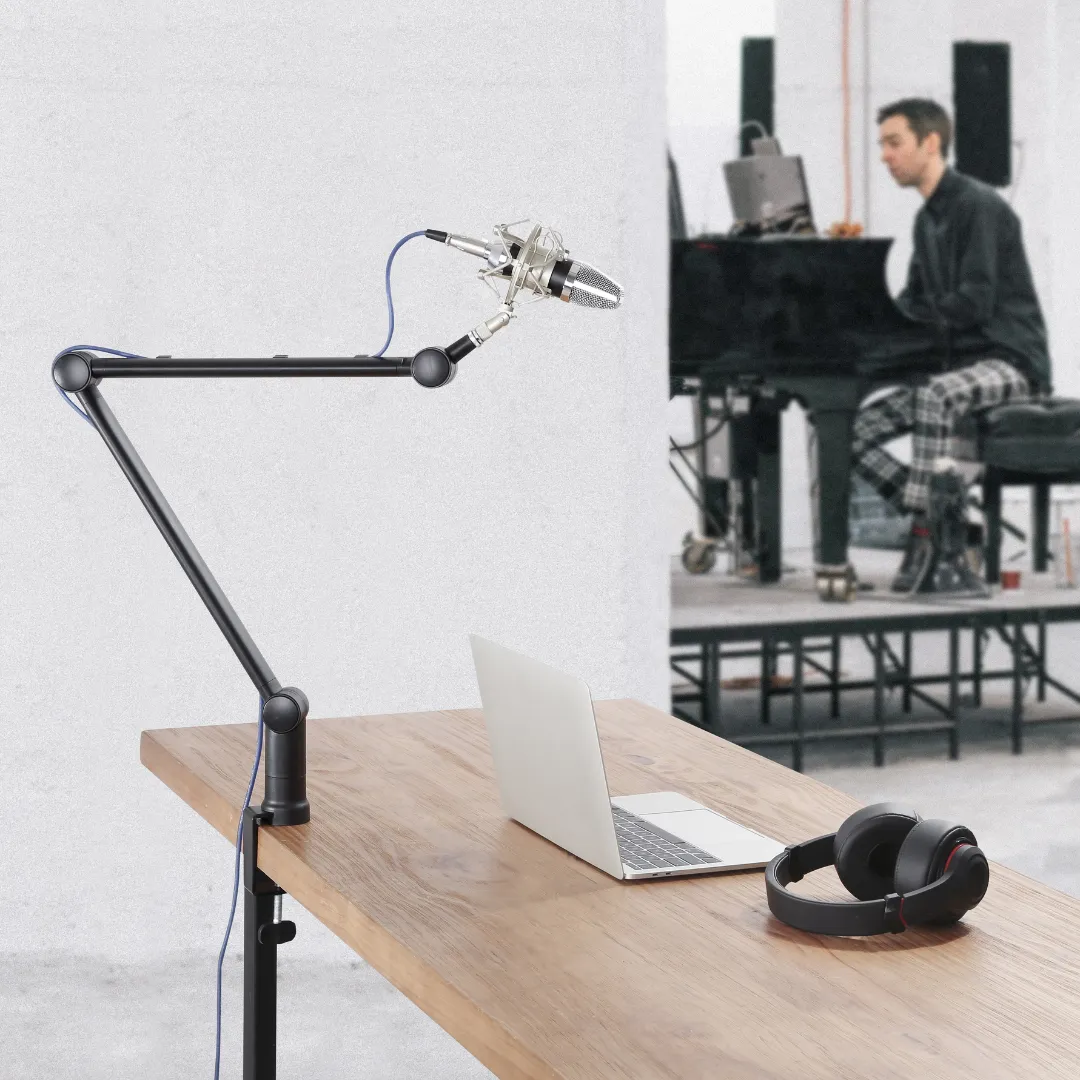 Alterzone Arm M1 Professional Microphone Boom Arm Stand, Black