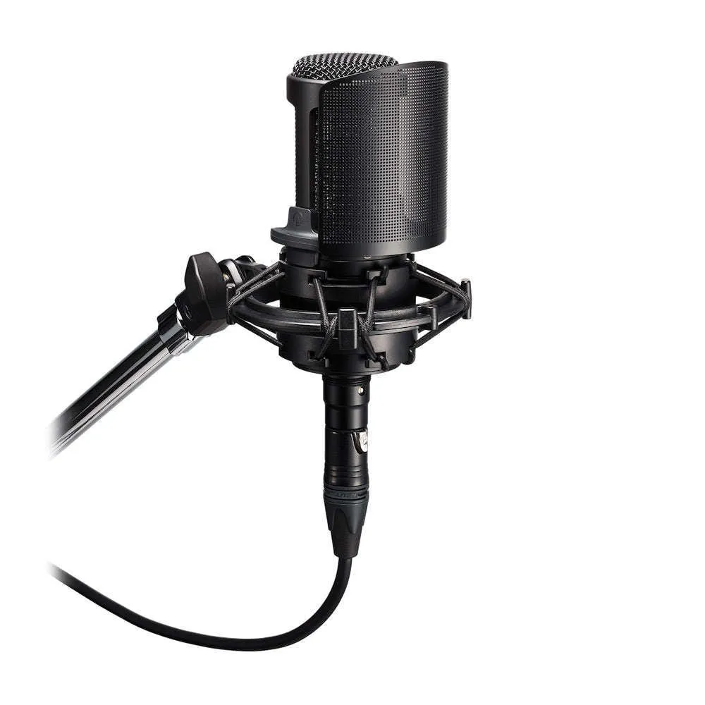 Audio-Technica AT8175 Pop Filter