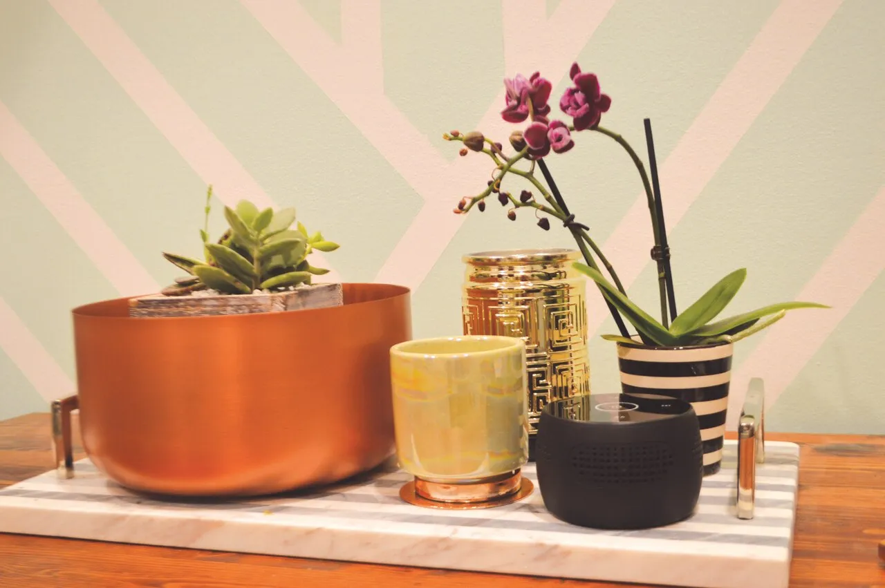 Bluetooth Speaker Hidden Camera