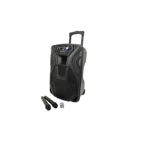 BUSKER 12-80w PA Recharge/Mains