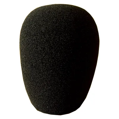 Carol Wind Shield Black