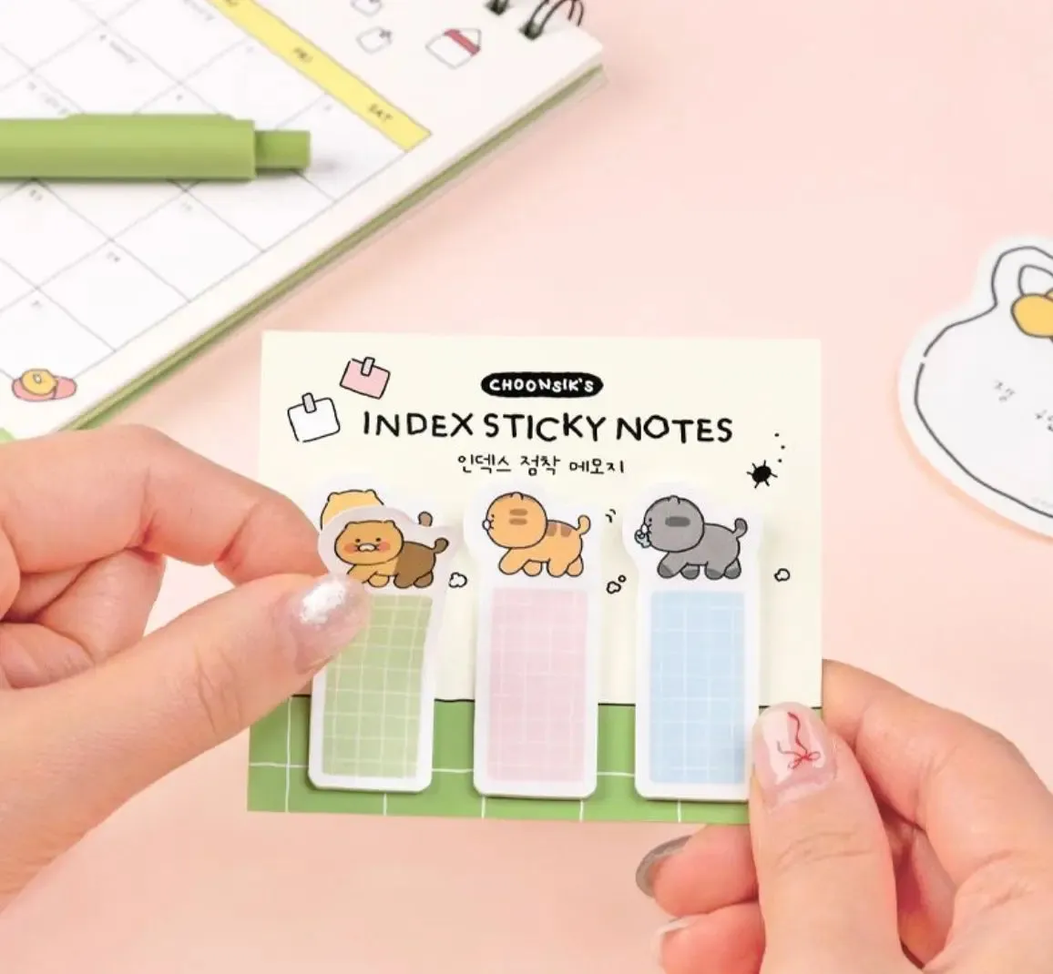 Choonsik's Ordinary Index Memo Sticky Notes
