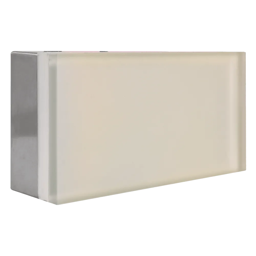 CRG31 Low Voltage In Ground RGB or WW LED Brick Paver Light Rectangle IP67 Waterproof