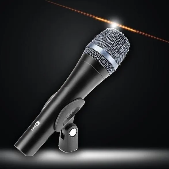 Dynamic Handheld Supercardioid Microphone