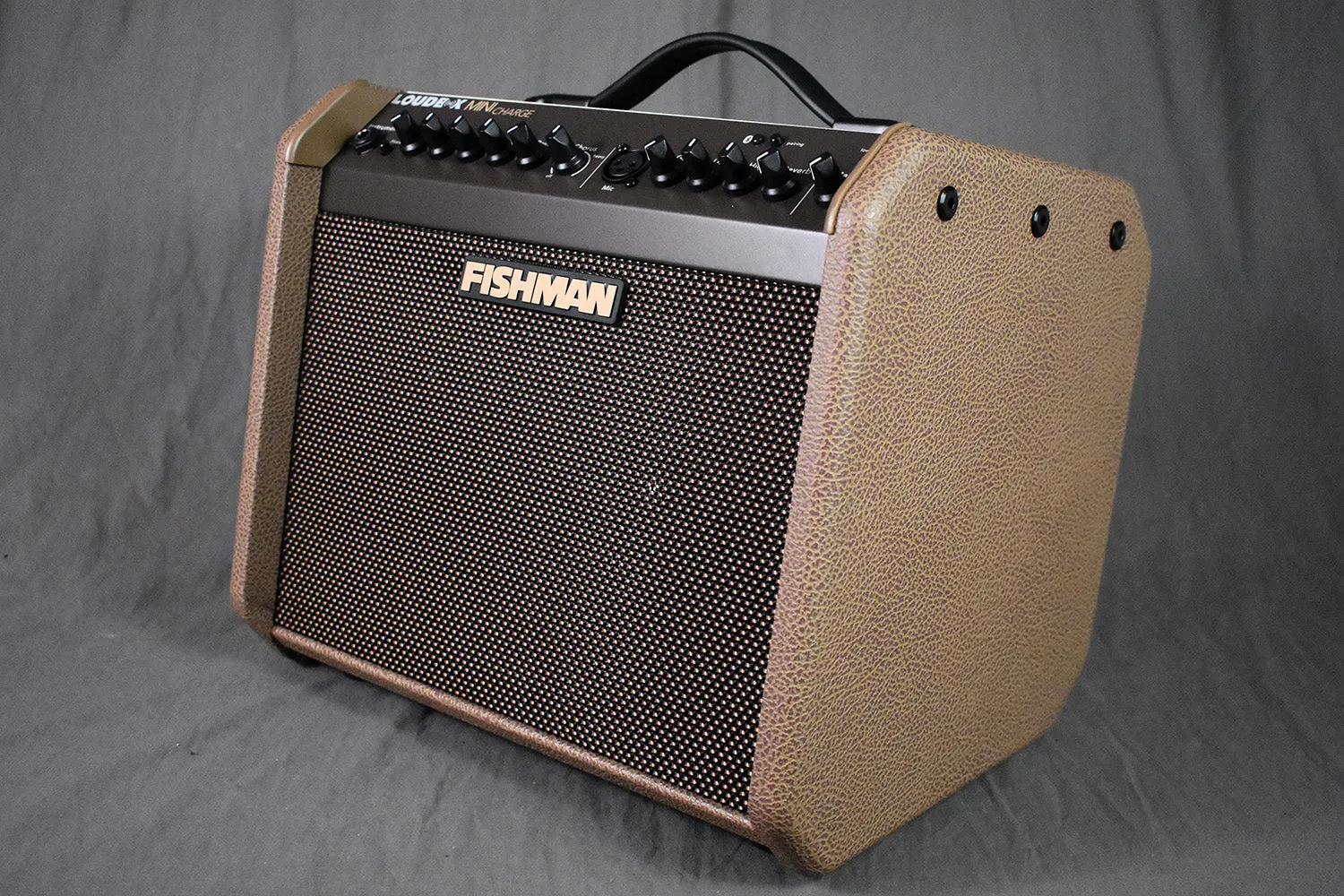 Fishman PRO-LBC-500 Loudbox Mini Charge