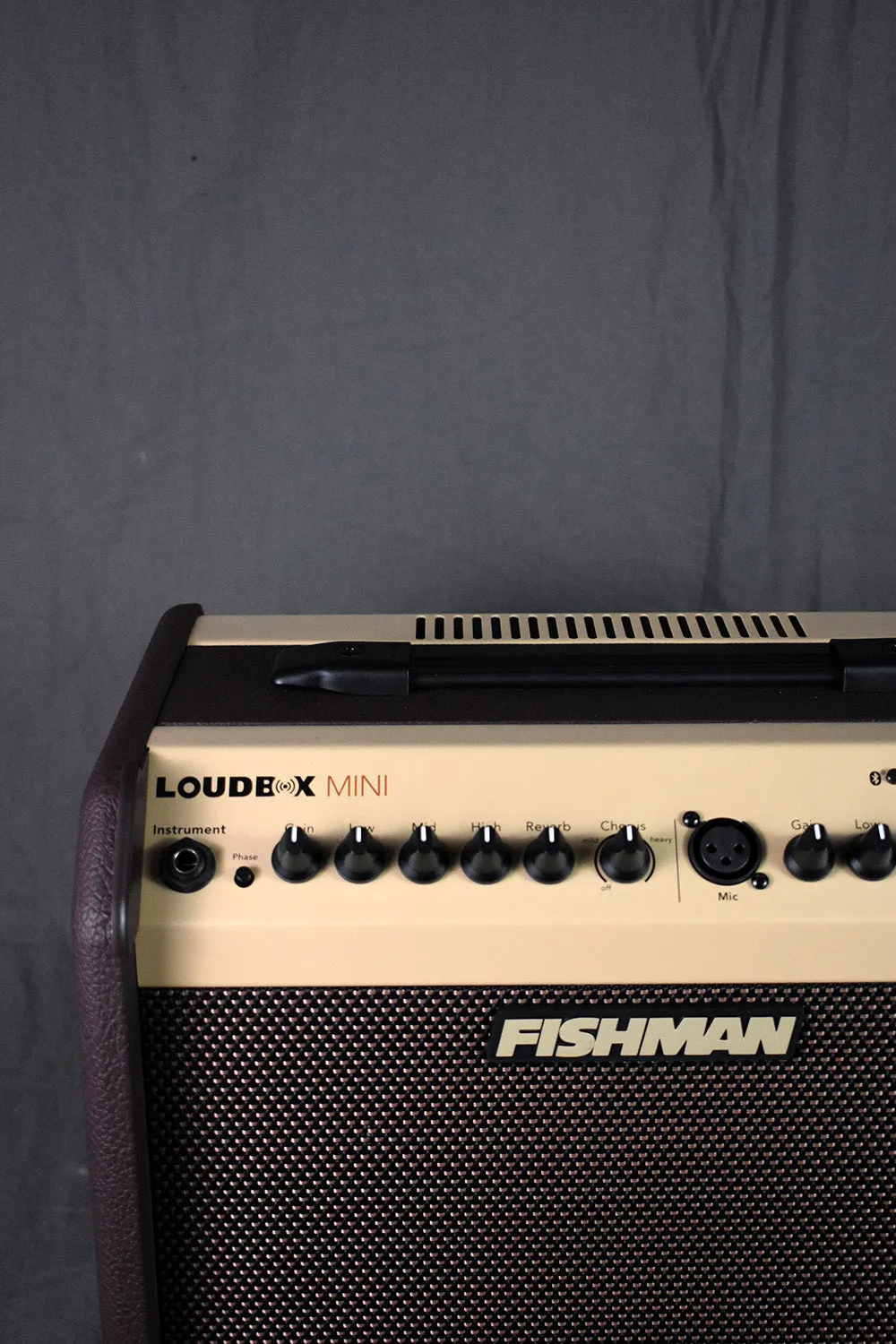 Fishman PRO-LBT-500 Loudbox Mini   Bluetooth