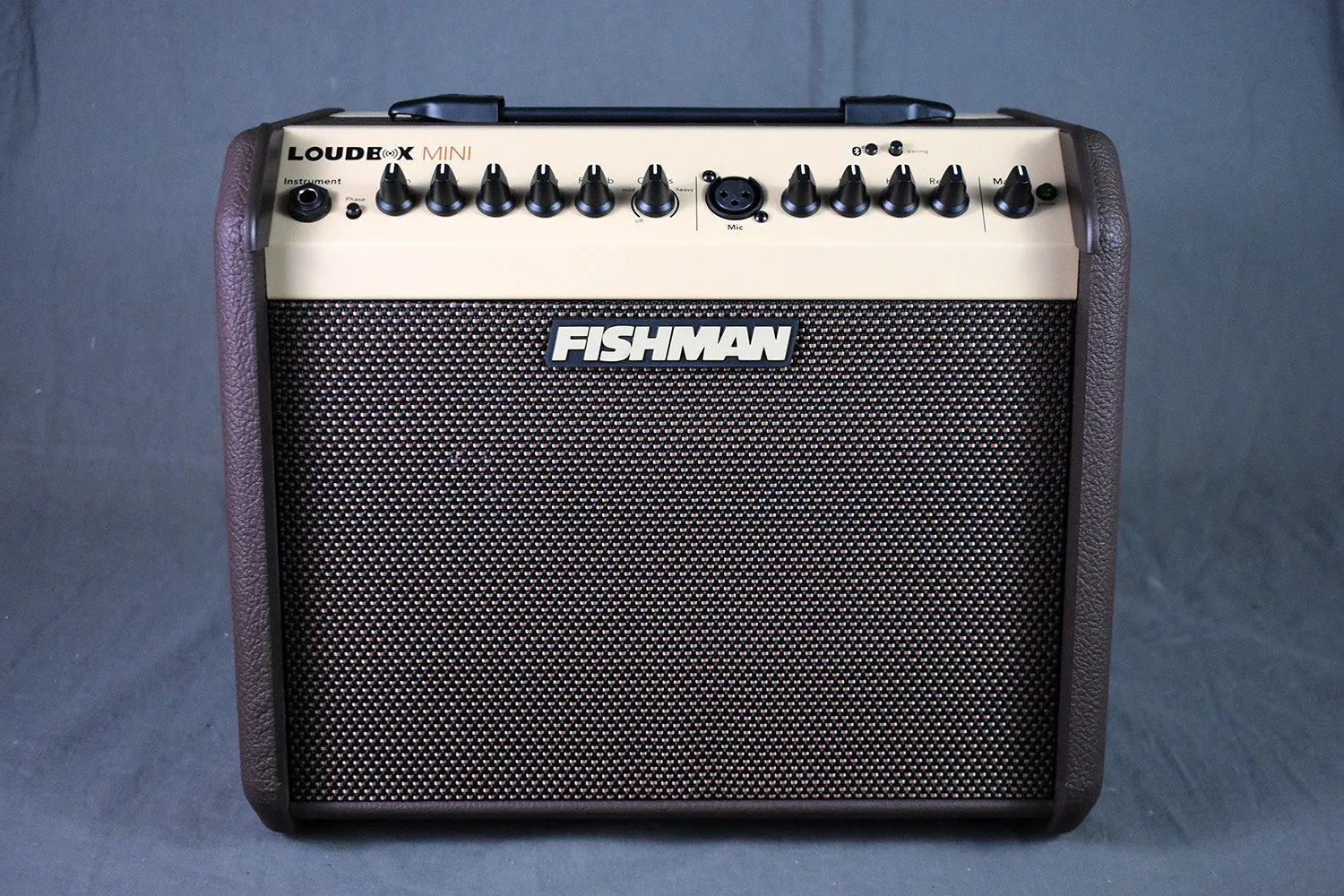 Fishman PRO-LBT-500 Loudbox Mini   Bluetooth