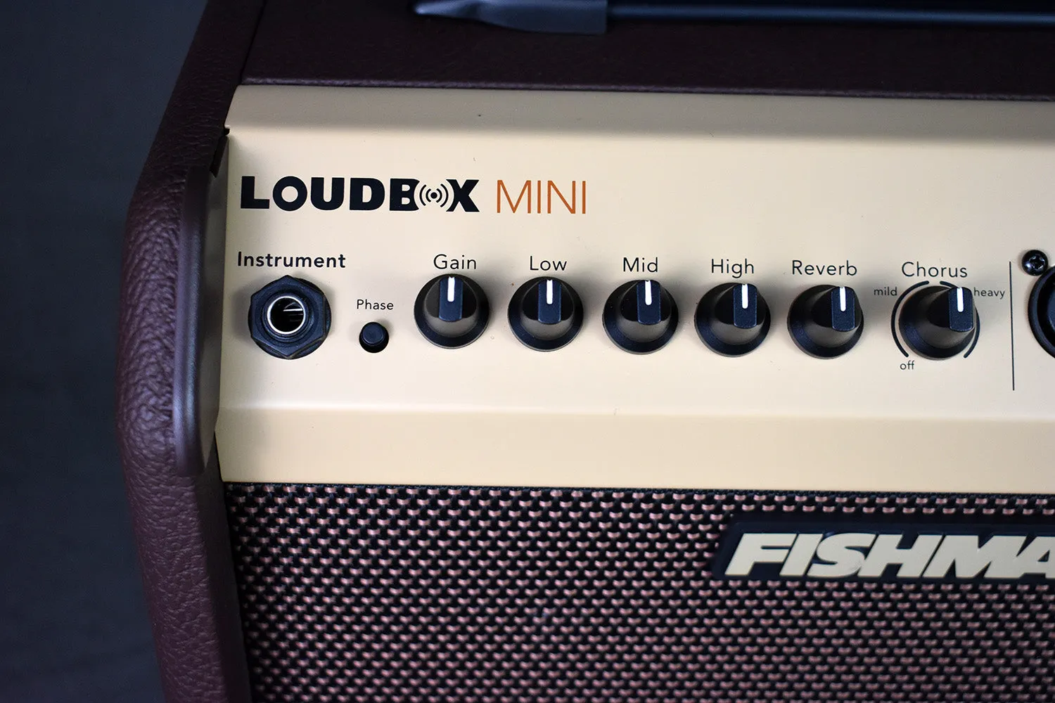 Fishman PRO-LBT-500 Loudbox Mini   Bluetooth