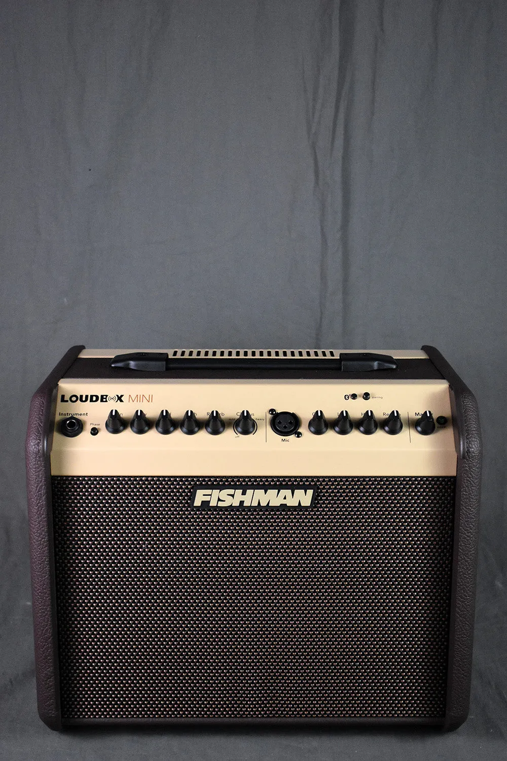 Fishman PRO-LBT-500 Loudbox Mini   Bluetooth