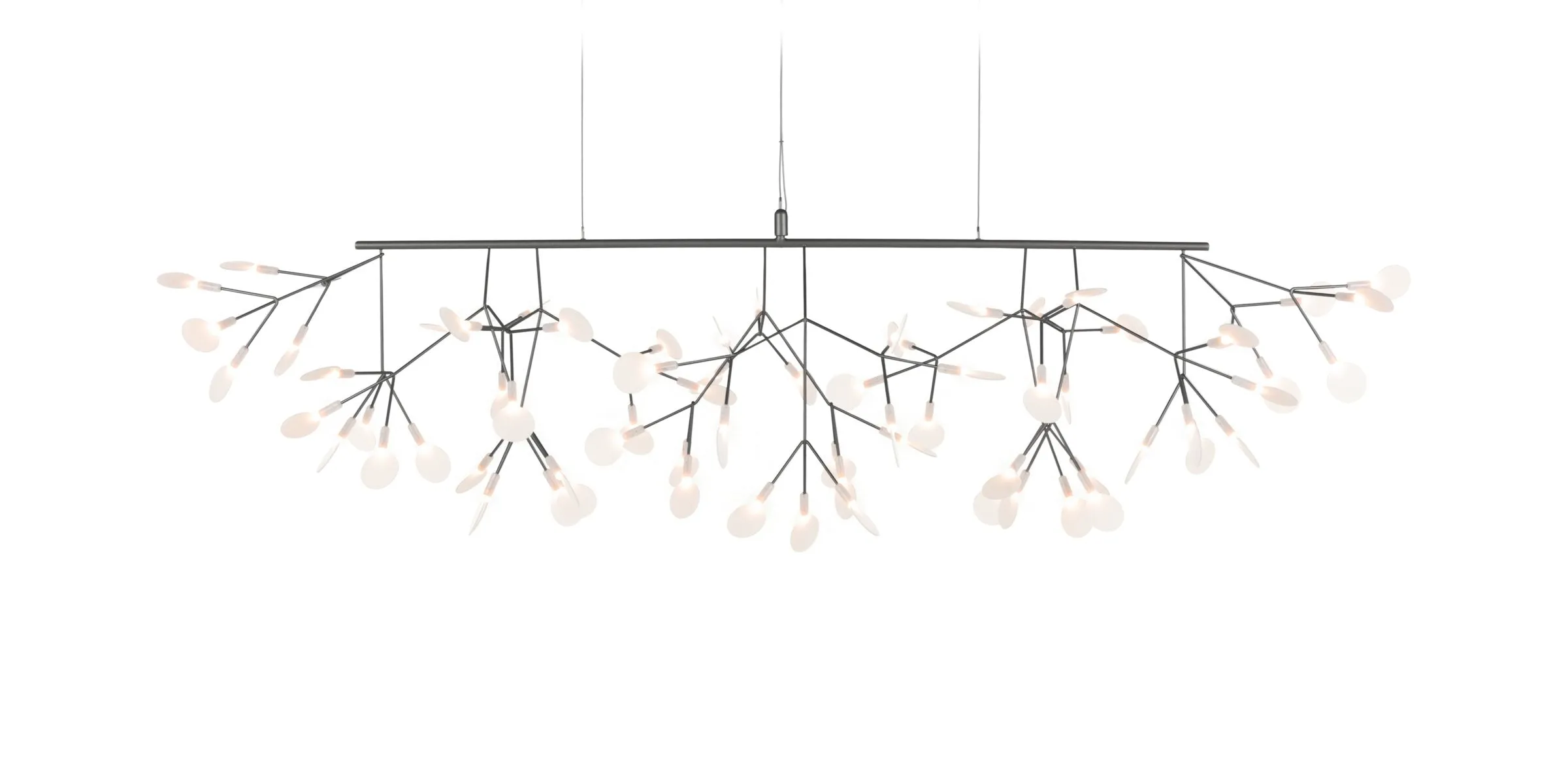 HERACLEUM III Linear