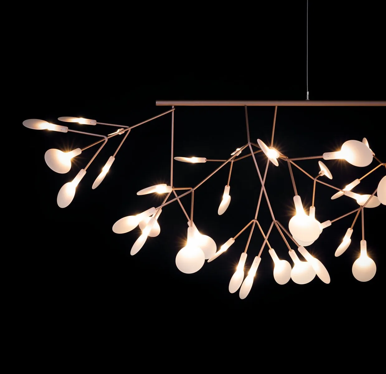 HERACLEUM III Linear