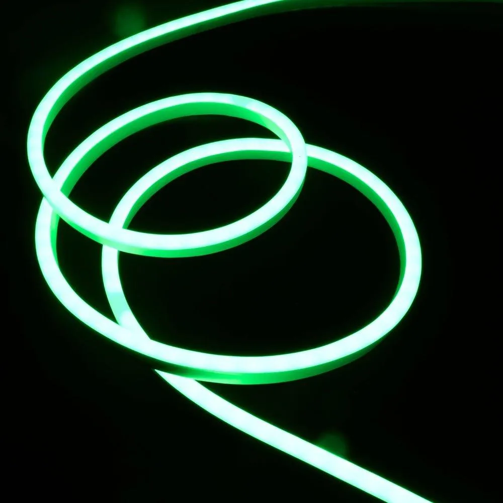RGB Neon Flex 220V 240V 10x20mm Flat Shape IP65 Dimmable with Remote Kit