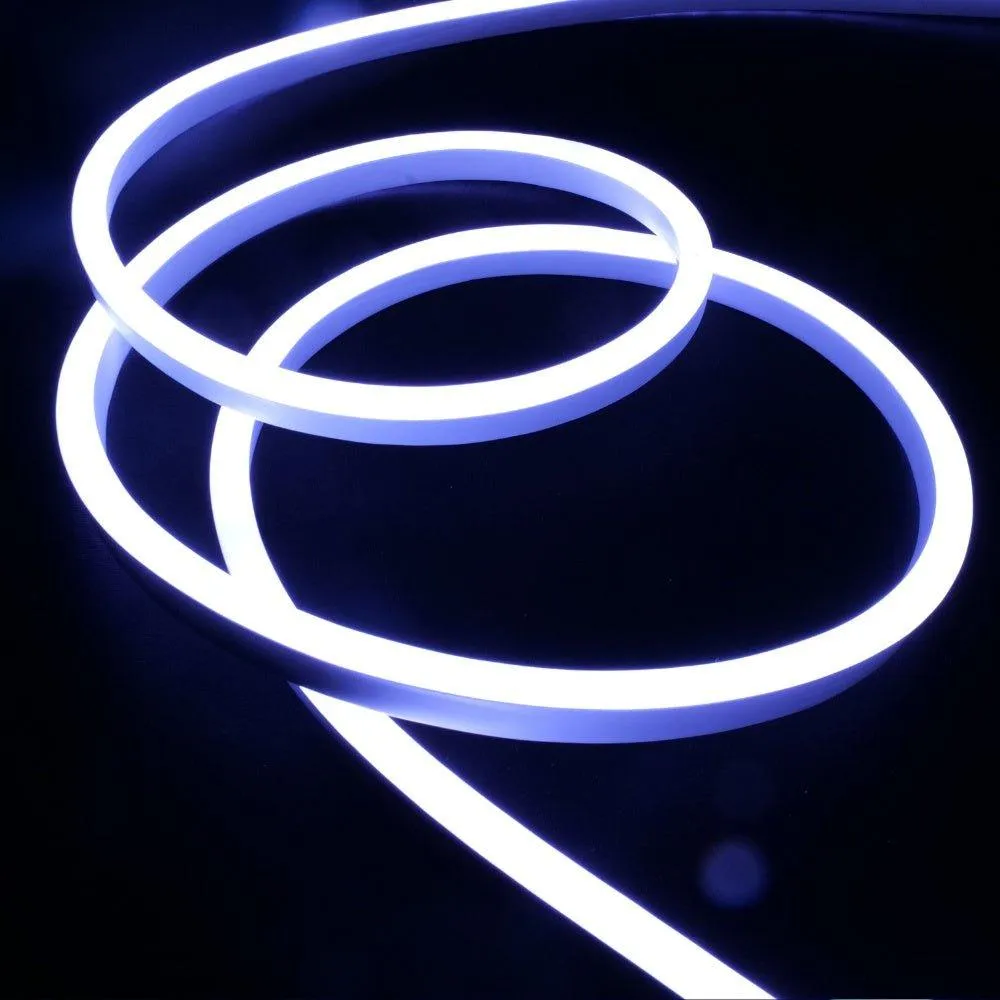 RGB Neon Flex 220V 240V 10x20mm Flat Shape IP65 Dimmable with Remote Kit