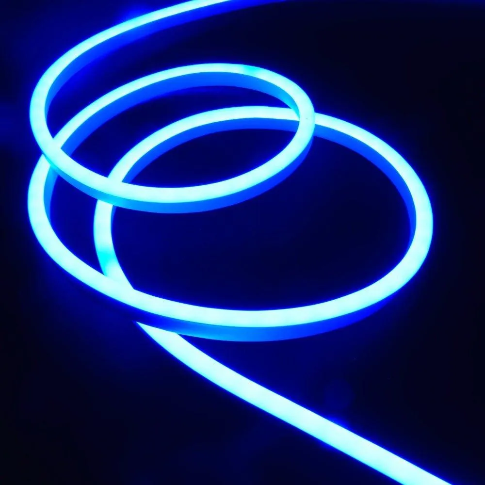 RGB Neon Flex 220V 240V 10x20mm Flat Shape IP65 Dimmable with Remote Kit
