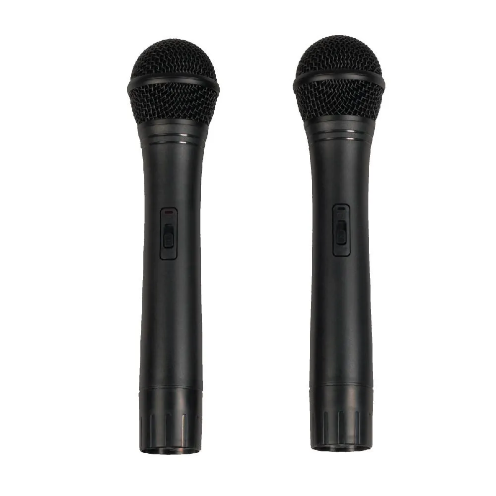 RSG-12 - Powered 12 Inch PA Speaker - Rechargeable with 2 Mics, Remote and Bluetooth