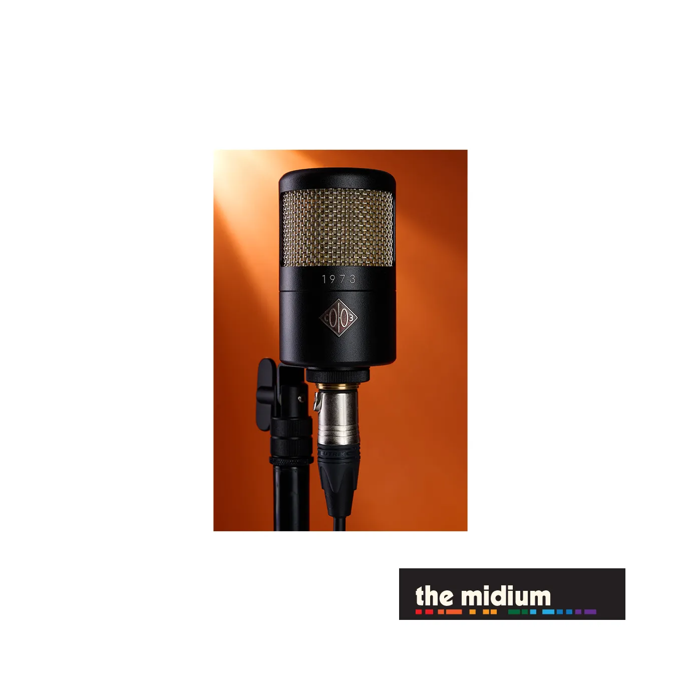 Soyuz Microphones 1973 large diaphragm FET condenser microphone (Black)