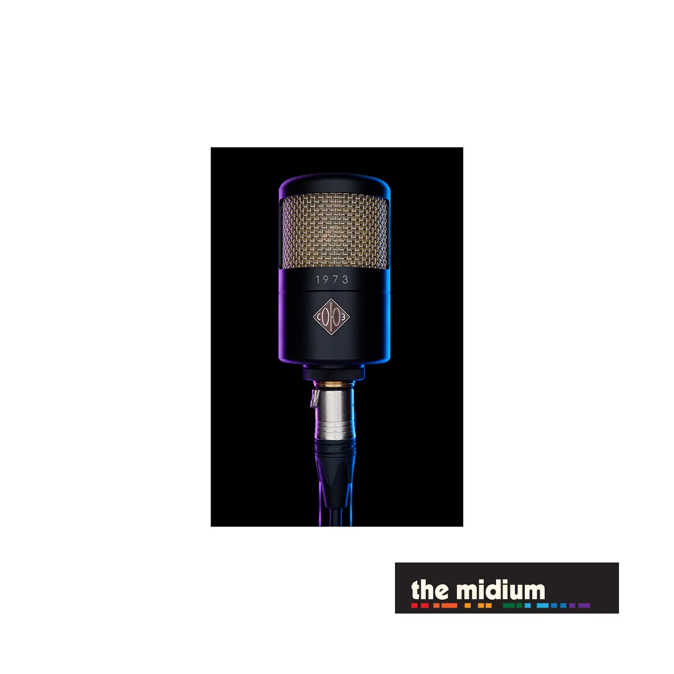 Soyuz Microphones 1973 large diaphragm FET condenser microphone (Black)