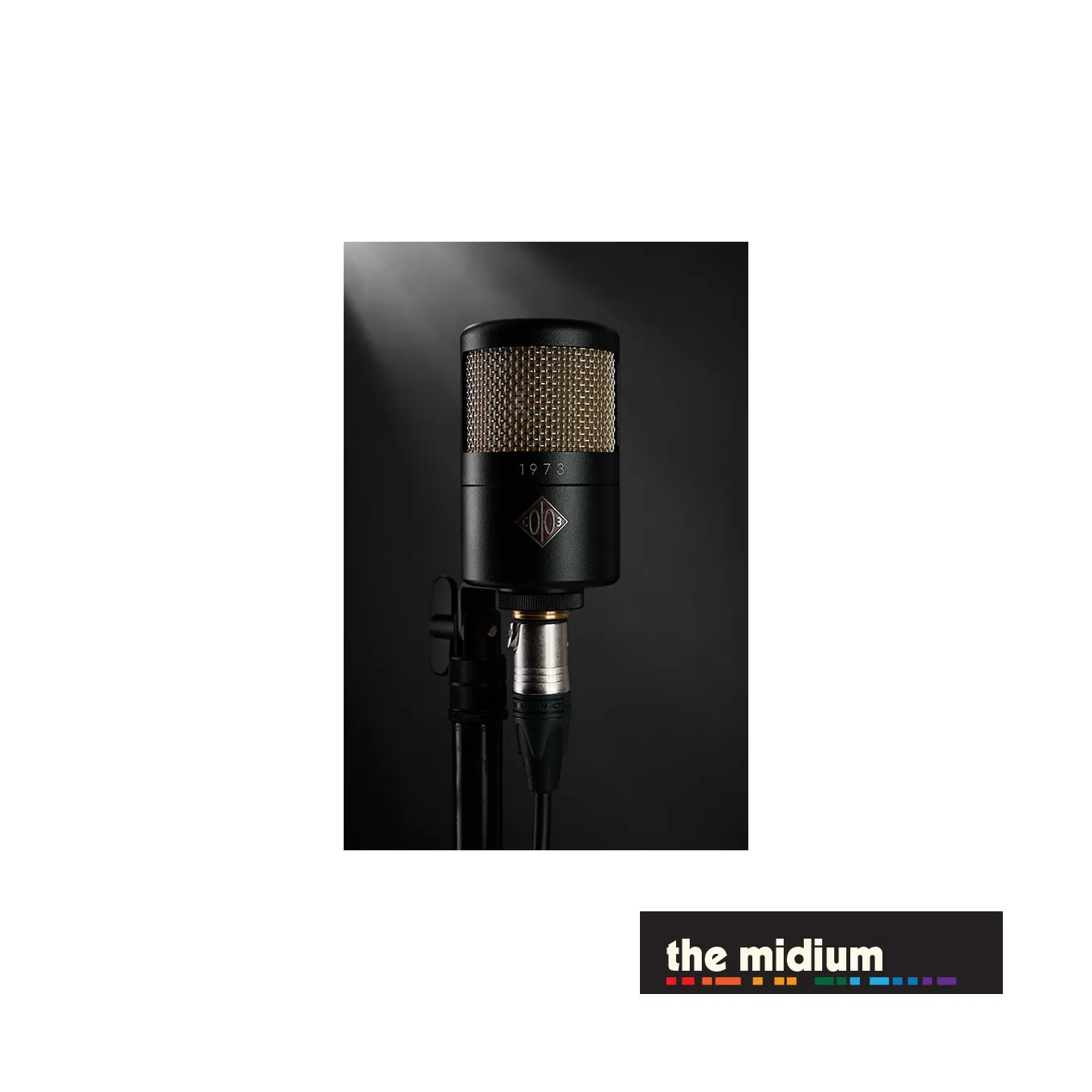 Soyuz Microphones 1973 large diaphragm FET condenser microphone (Black)