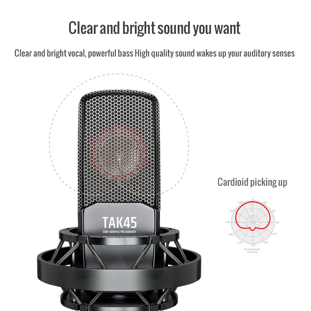 TAKSTAR TAK45 Studio Recording Condenser Microphone - Brand New