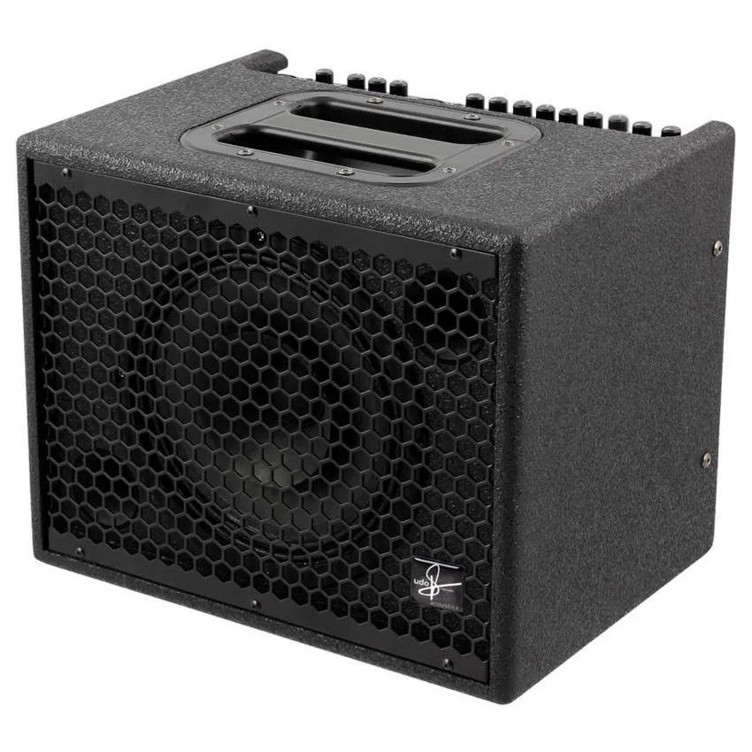 Udo Roesner Amps 'Da Capo 75' 1x8" 15-watt Acoustic Guitar Combo Amp